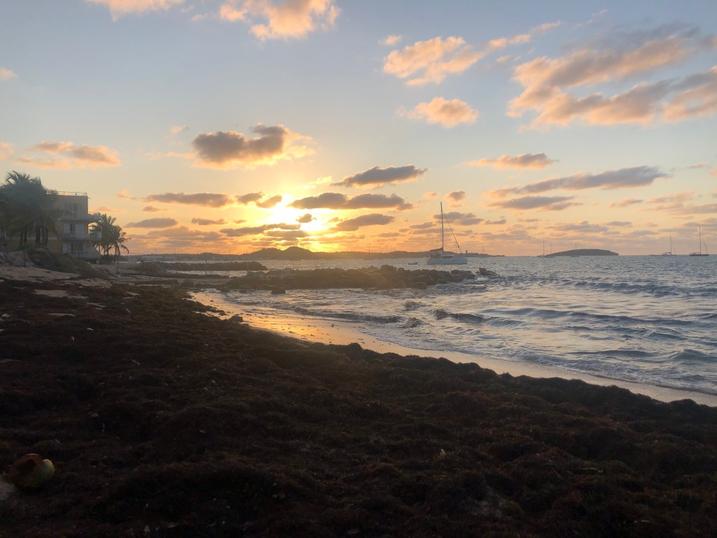 Saint Martin, Day&nbsp;114